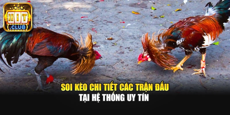 Soi kèo chi tiết các trận đấu tại hệ thống uy tín 