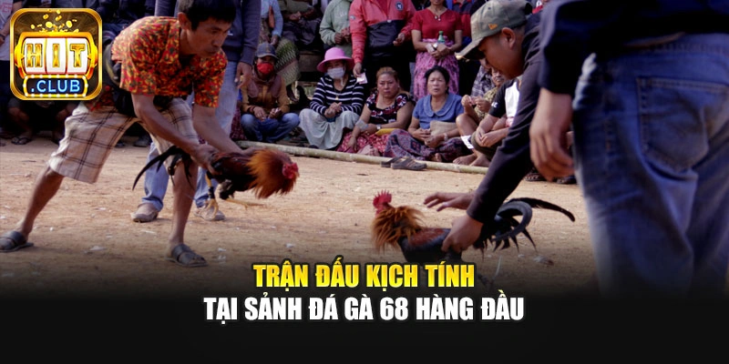 Trận đấu kịch tính tại sảnh đá gà 68 hàng đầu